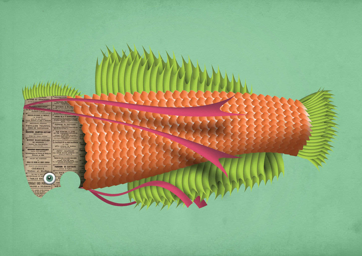 "Eduard the Fish" art print by Studio Frits – imaginative digital illustration of an orange and green stylized fish with textured scales, vibrant fins, and a newspaper-textured head, perfect for modern art lovers and playful home decor, available at Galerie Frits.