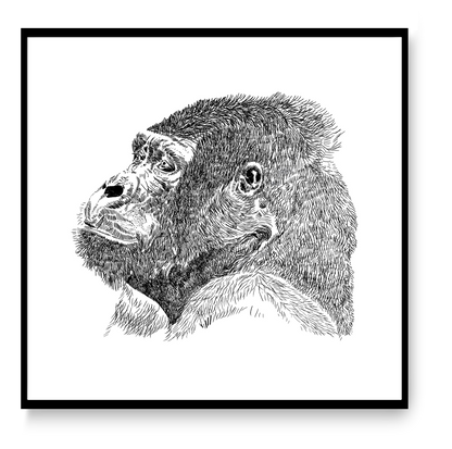 Black and white gorilla illustration with detailed hand-drawn lines, Gorilla art print by Studio Frits, 30x30 cm animal wall art.