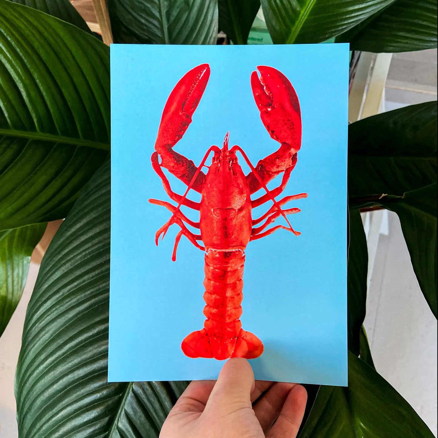 Colorful lobster illustration on bright blue background by Dutch artist PTRVRKD – A5 off-set art print on Biotop paper, perfect for modern home or kitchen decor