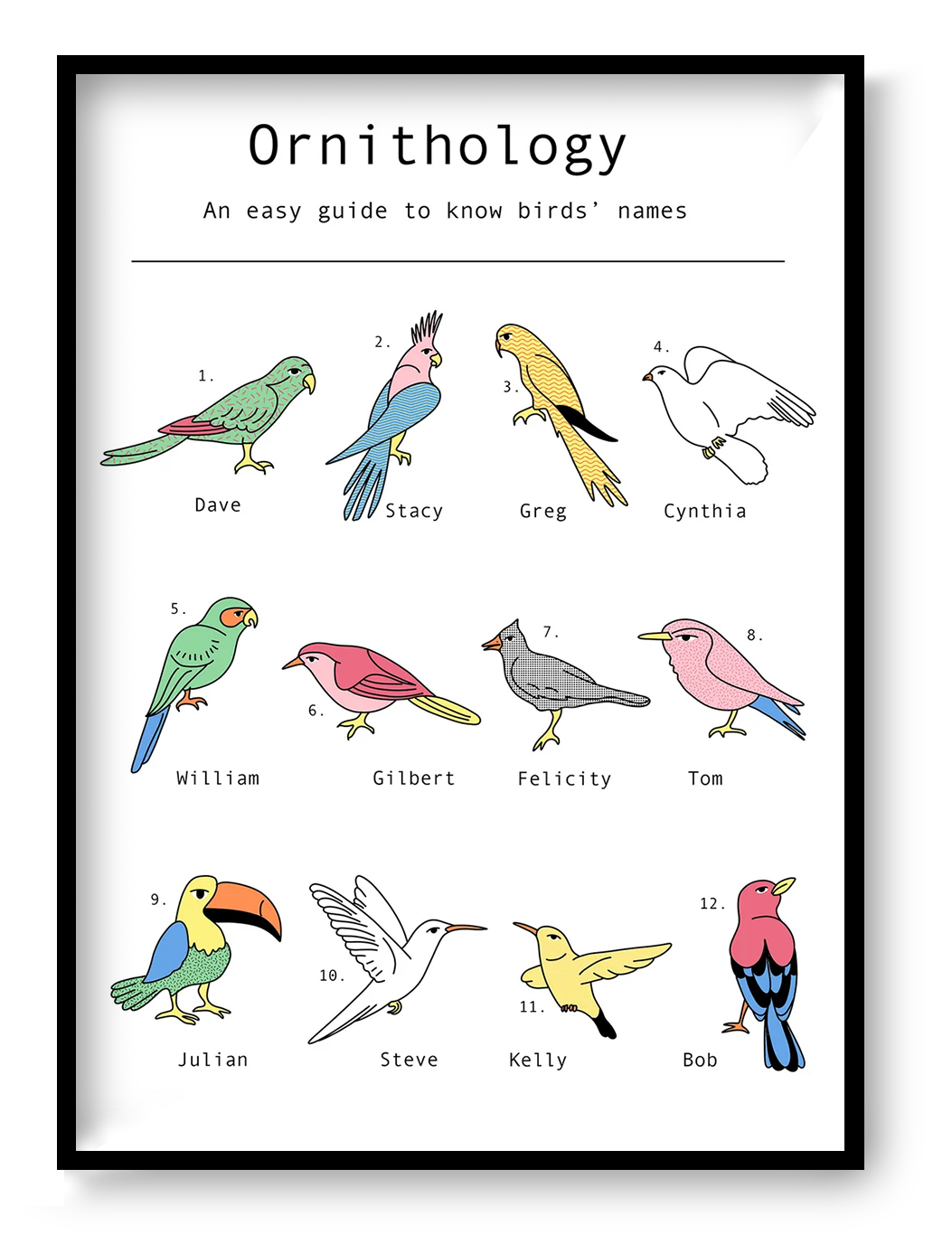 Humorous ornithology-inspired digital art print featuring twelve illustrated birds with human names in a clean infographic style. Minimalist black linework with pastel colors, portrait orientation, ideal for modern home offices, living rooms, and gallery walls.