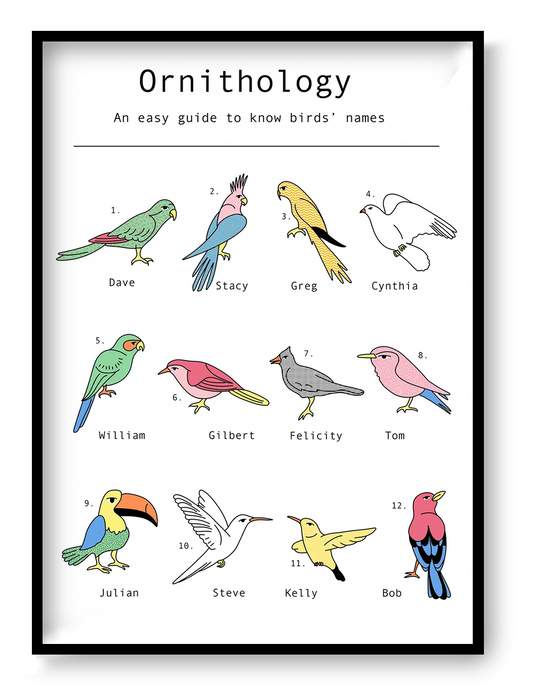 Humorous ornithology-inspired digital art print featuring twelve illustrated birds with human names in a clean infographic style. Minimalist black linework with pastel colors, portrait orientation, ideal for modern home offices, living rooms, and gallery walls.