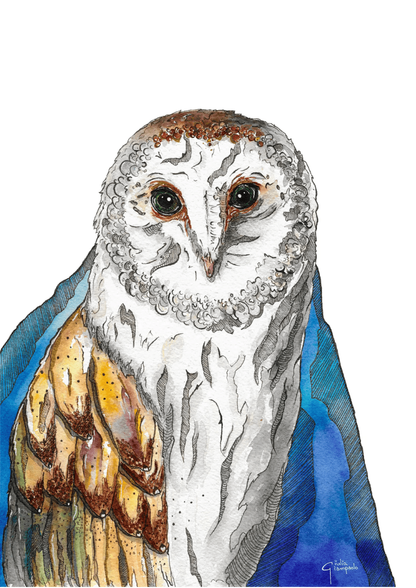 Watercolor owl art print titled The King of the Night by Giu, featuring a detailed barn owl with expressive eyes, soft textures, and deep blue tones, contemporary A3 wall art for modern interiors.