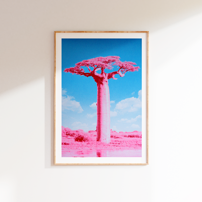 Fluor pink and blue silkscreen art print of a Baobab tree by PTRVRKD, modern handmade A2 screen print on 250 gsm paper, limited edition of 25.