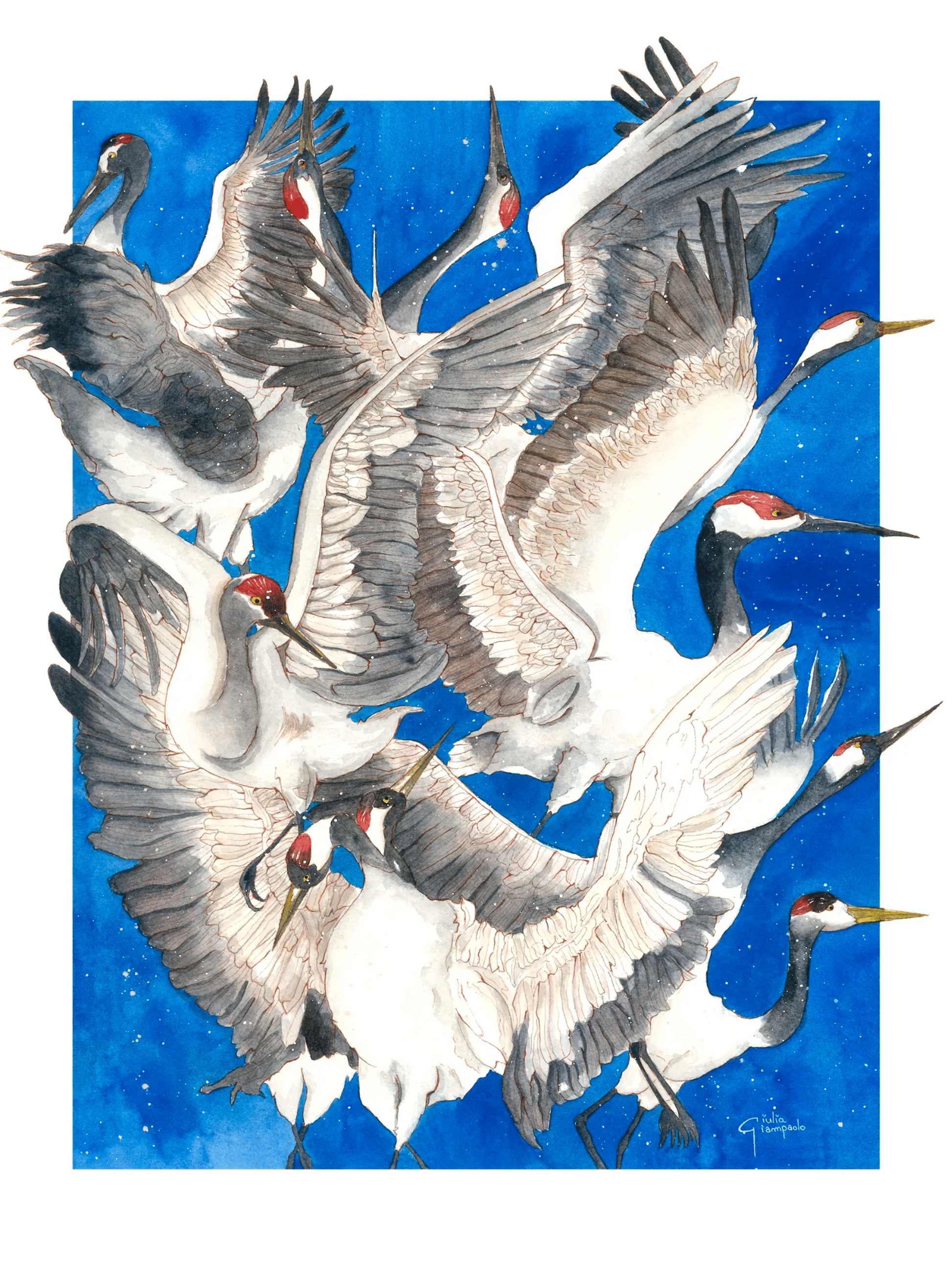 Watercolor art print titled “Caos” by Giu, featuring expressive flying cranes in motion on a deep blue background, printed in Belgium, contemporary illustration, 30 x 40 cm wall art for modern home decor.