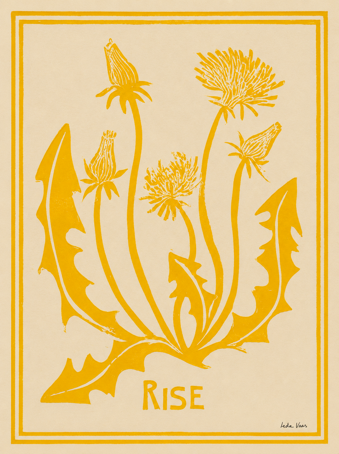 Rise (Yellow)