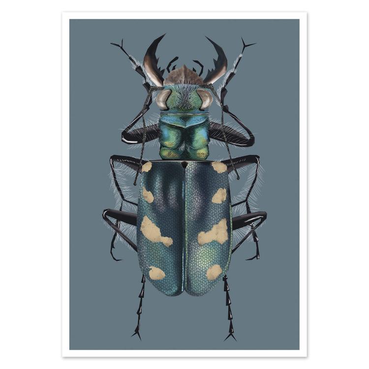 buy postcard dune tiger beetle illustration