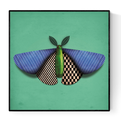 Stylized digital illustration by Studio Frits titled 'Baptiste de Papillon de Nuit,' featuring a geometric moth with textured blue wings, checkered underwings, and a green body set against a vivid teal background. Combining surrealism with modern design, this bold and whimsical insect portrait is perfect for contemporary spaces and fans of unique entomology-inspired art