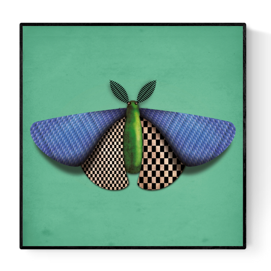 Stylized digital illustration by Studio Frits titled 'Baptiste de Papillon de Nuit,' featuring a geometric moth with textured blue wings, checkered underwings, and a green body set against a vivid teal background. Combining surrealism with modern design, this bold and whimsical insect portrait is perfect for contemporary spaces and fans of unique entomology-inspired art