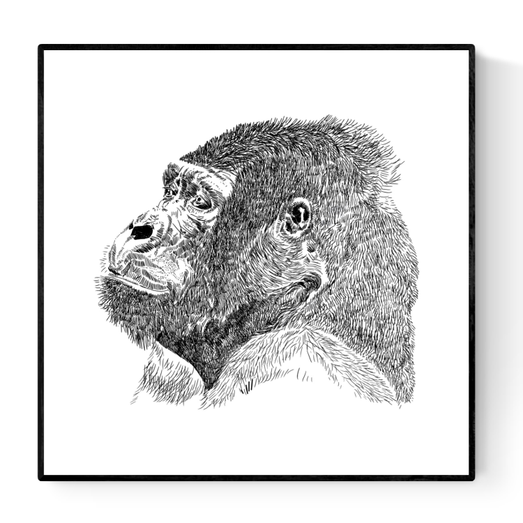 Black and white gorilla illustration by Studio Frits – detailed hand-drawn art print on 30 x 30 cm fine art paper, perfect for modern home decor and animal lovers