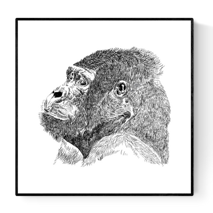 Black and white gorilla illustration by Studio Frits – detailed hand-drawn art print on 30 x 30 cm fine art paper, perfect for modern home decor and animal lovers