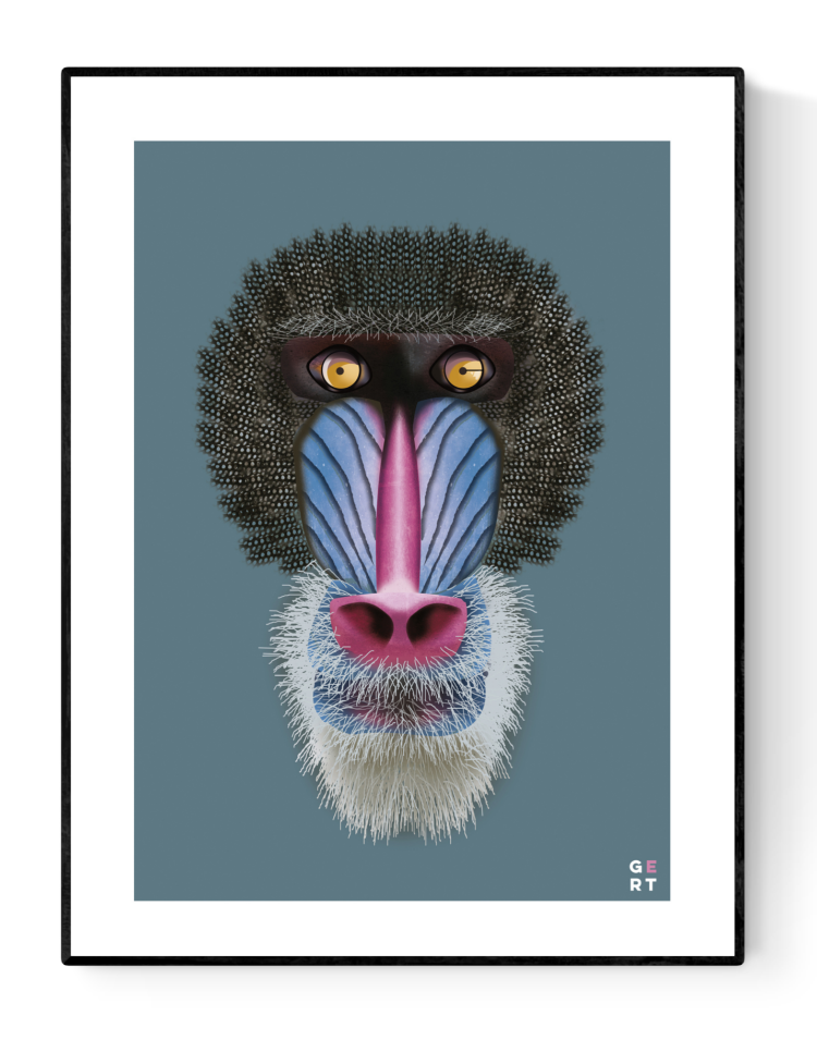 Close-up digital illustration of a colorful mandrill with vibrant blue, pink, and yellow facial features on a teal background – Mandrill by Studio Frits, 30 x 40 cm art print.