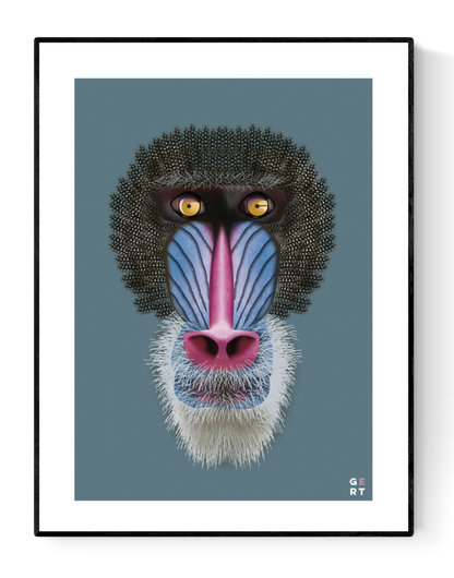 Close-up digital illustration of a colorful mandrill with vibrant blue, pink, and yellow facial features on a teal background – Mandrill by Studio Frits, 30 x 40 cm art print.