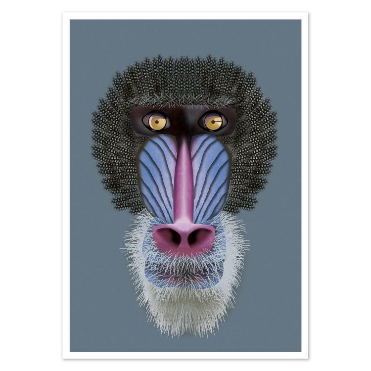 buy mandrill portrait postcard illustration