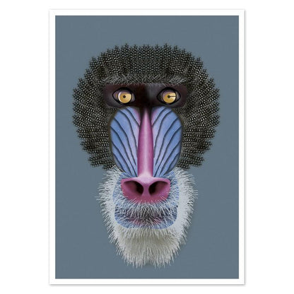 buy mandrill portrait postcard illustration