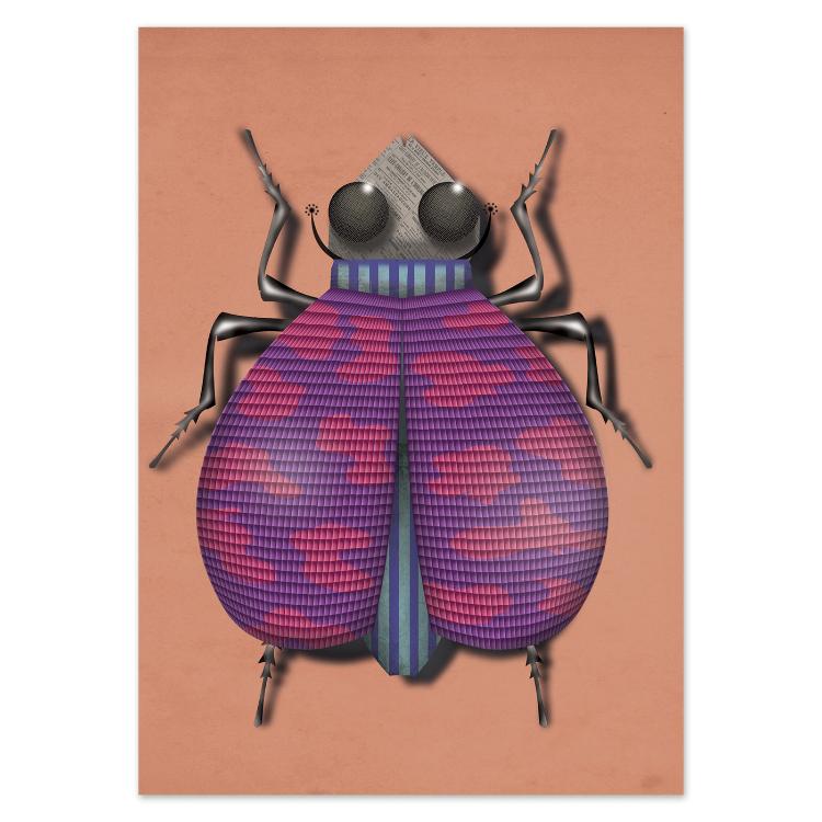 buy postcards with insect / bug illustrations