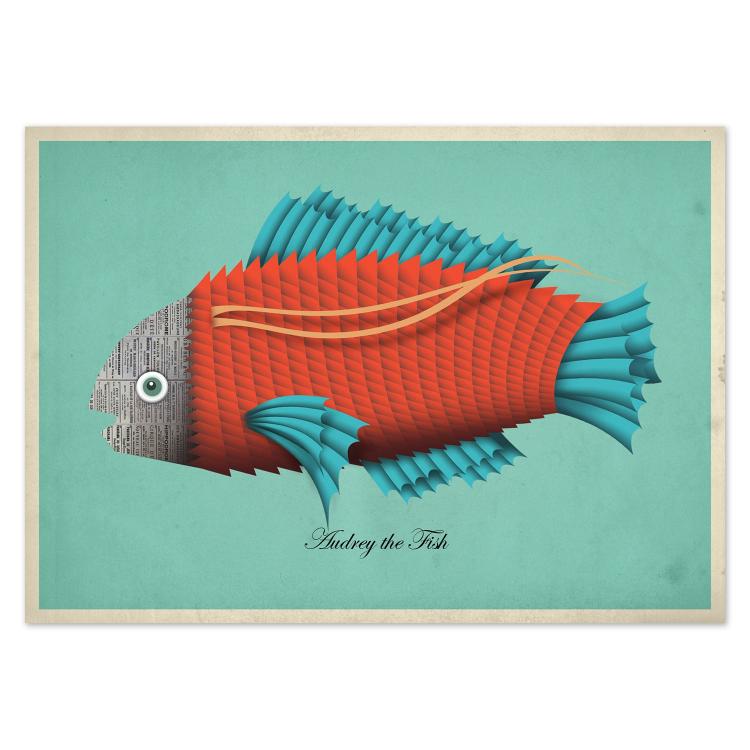 buy postcards with illustrations of fish
