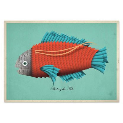 buy postcards with illustrations of fish