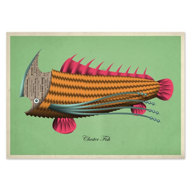 buy postcards with illustrations of fish