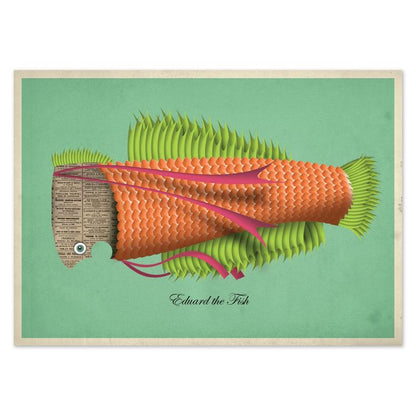 buy postcards with illustrations of fish
