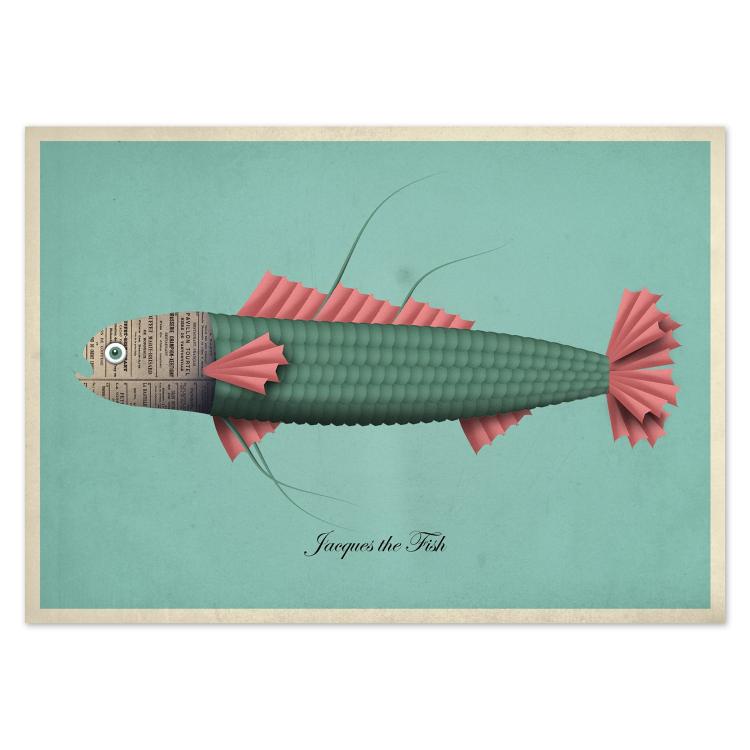 buy postcards with illustrations of fish