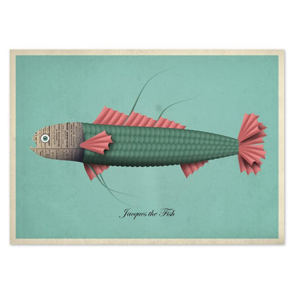 buy postcards with illustrations of fish