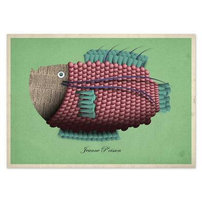buy postcards with illustrations of fish