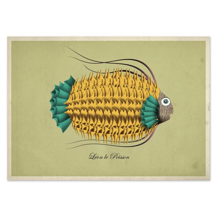 buy postcards with illustrations of fish