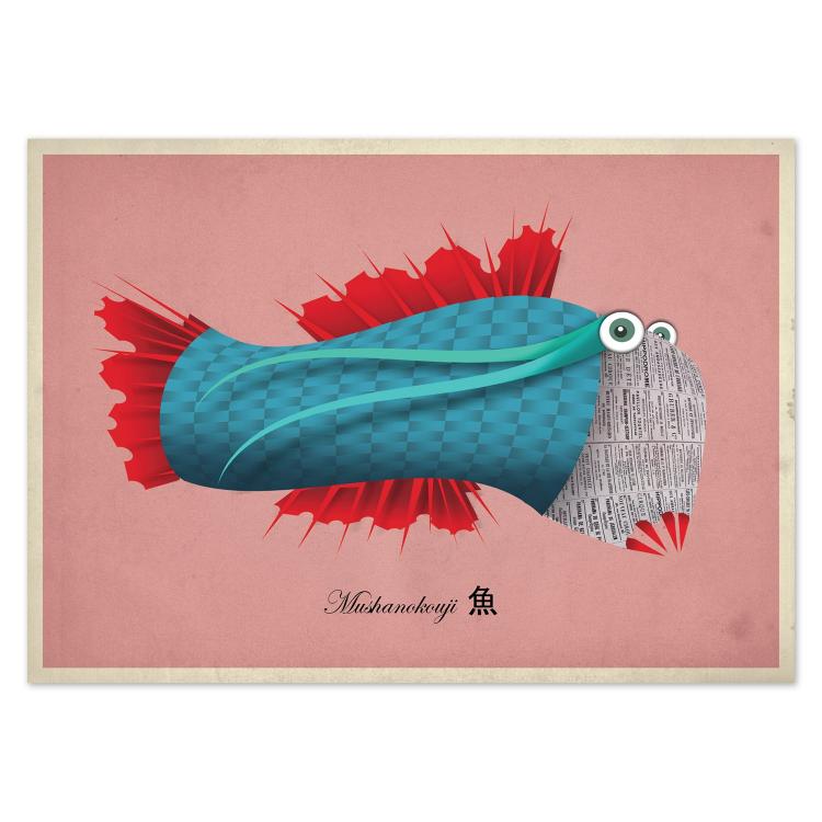 buy postcards with illustrations of fish