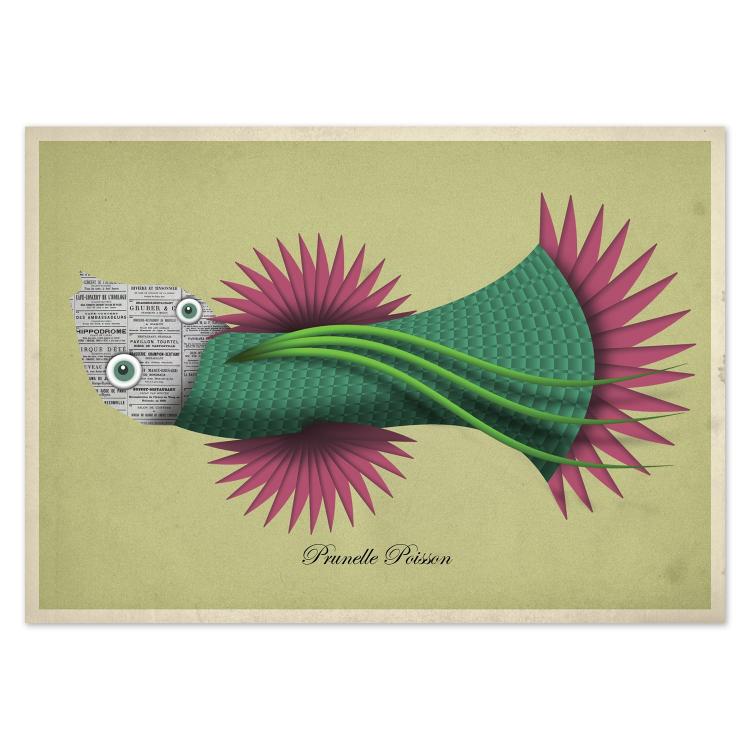 buy postcards with illustrations of fish