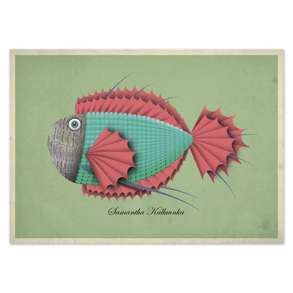 buy postcards with illustrations of fish