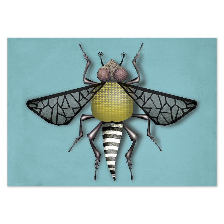 buy postcards with insect / bug illustrations