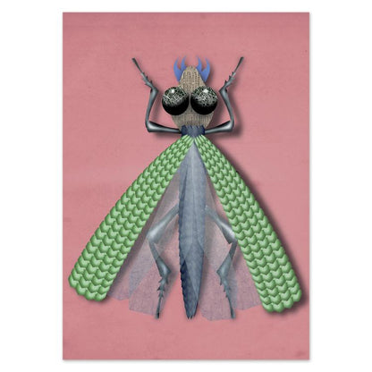 buy postcards with imaginary insect / bug illustrations