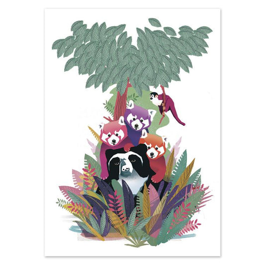 Colorful illustrated postcard titled Hug by Gert Paenen of Studio Frits. Featuring a panda surrounded by playful red pandas, a monkey, and lush tropical plants, this charming artwork celebrates friendship, nature, and warmth in a vibrant, contemporary style.