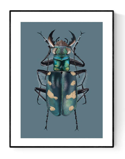 Dune Tiger Beetle” art print by Studio Frits – hyper-detailed illustration of a metallic blue-green beetle with cream spots, perfect for modern insect-themed decor and nature-inspired wall art, available at Galerie Frits