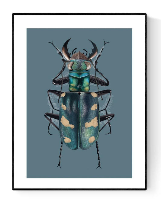 Dune Tiger Beetle” art print by Studio Frits – hyper-detailed illustration of a metallic blue-green beetle with cream spots, perfect for modern insect-themed decor and nature-inspired wall art, available at Galerie Frits
