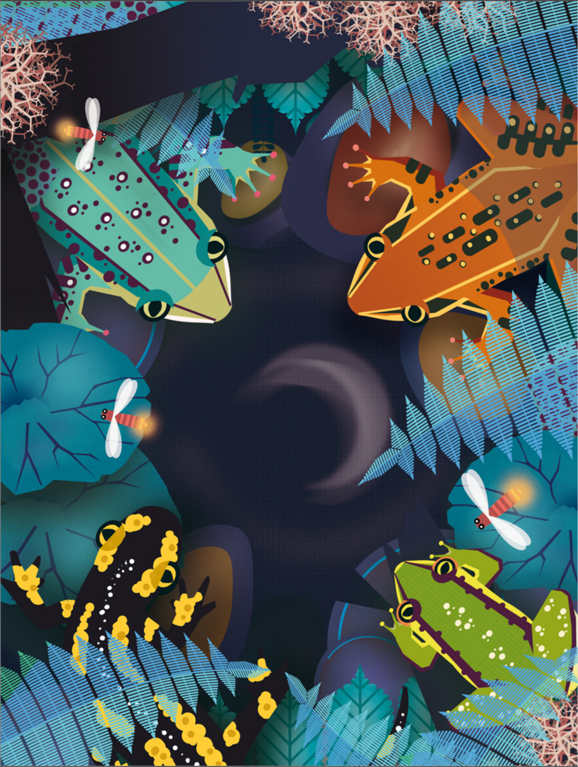 Colorful night illustration featuring frogs and a salamander by Studio Frits, vibrant amphibian jungle art print with glowing details.