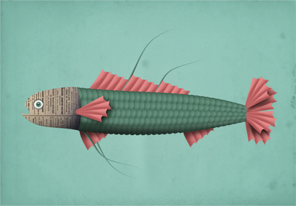 A4 modern fish wall art print by Studio Frits featuring green scales, pink fins and collage newspaper texture on matte fine art paper