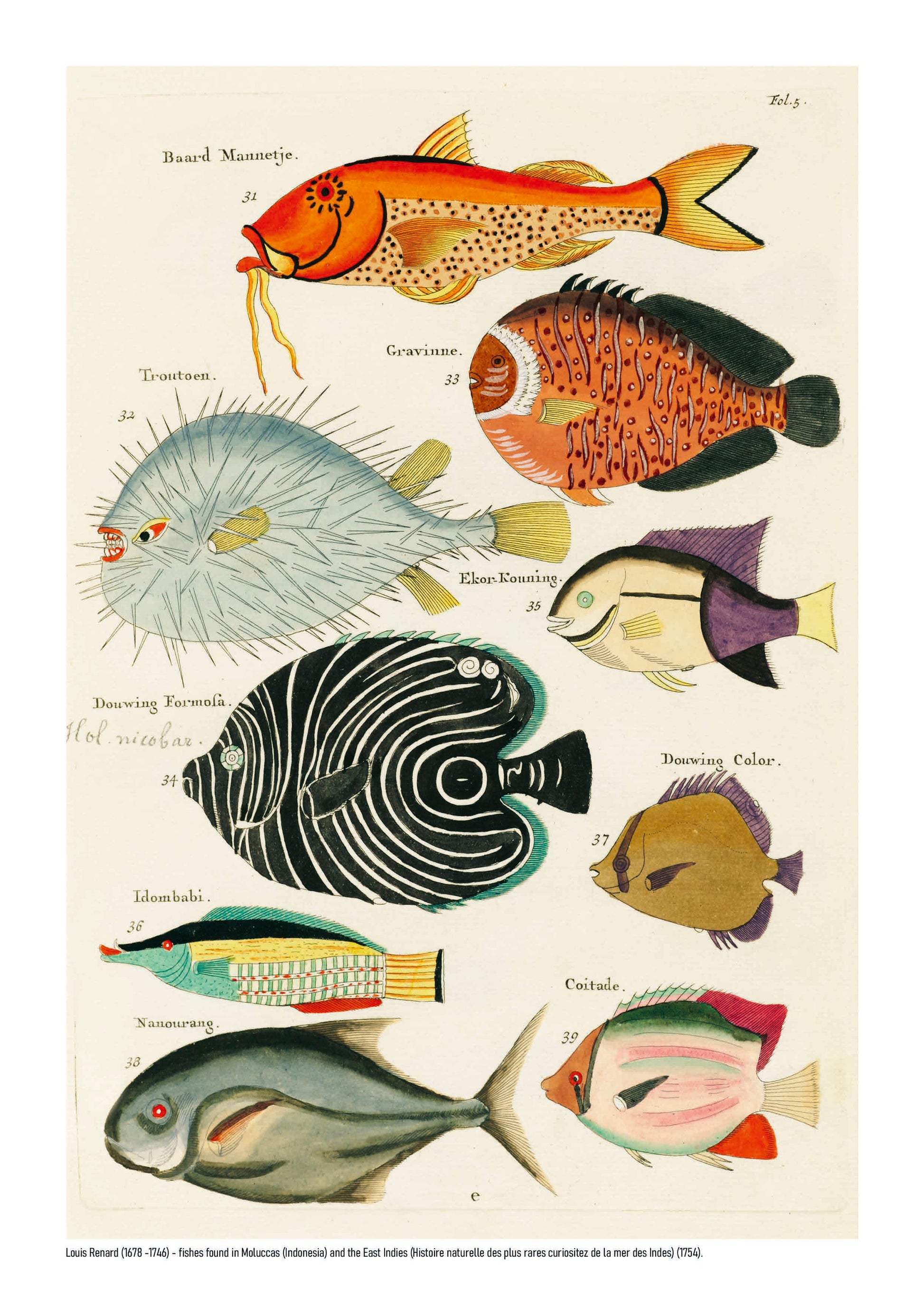 Vertical vintage marine illustration by Louis Renard featuring nine colourful tropical fish in orange, blue, black, green and yellow, digitally printed as decorative wall art for eclectic interiors.