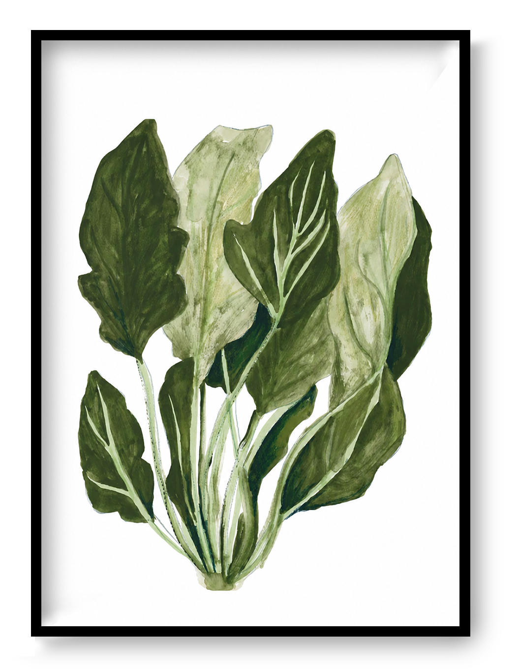 Botanical digital art print of wild spinach leaves by Kim Timmermans, reproduced from an original watercolor illustration in soft green tones. Vertical nature artwork for kitchen, dining room, or modern home decor.